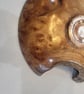 Burr Elm bowl with Natural Live edge (205 x 40 mm) - Image 4