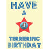 Have a Terrierific Birthday Card - Bull Terrier