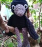 Enid the Crow Crochet Amigurumi 