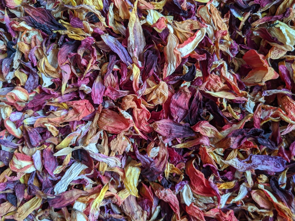 Gathered from the garden