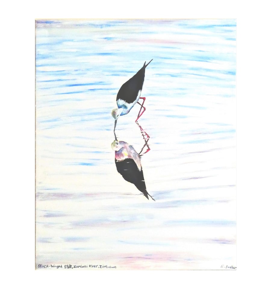 Black-winged Stilt with Reflection Wildlife in Africa Original Oil Painting  
