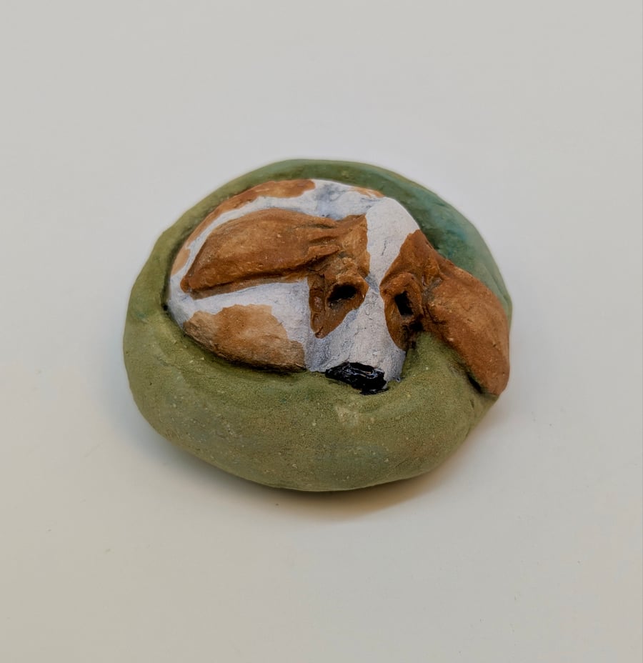 Yorkshire Pudding Basset Hound (green bed)