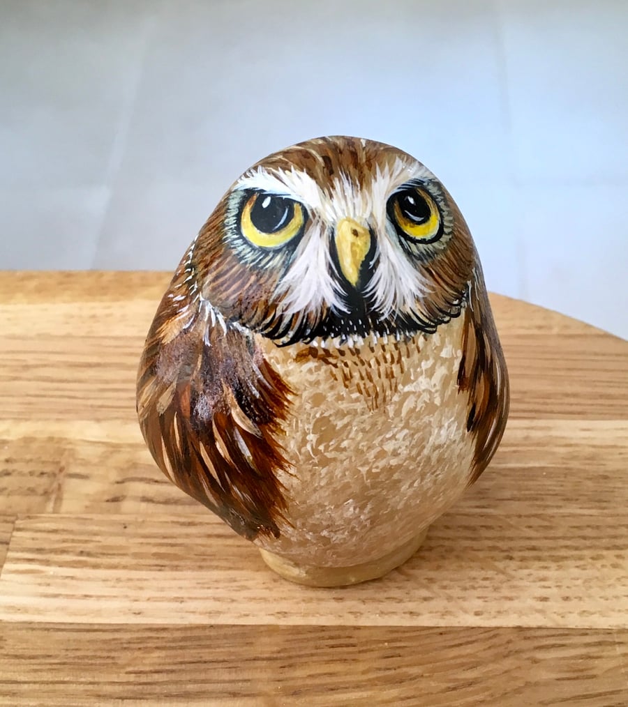Owl hand painted pebble rock art wildlife portrait 