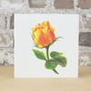 Blank Card Apricot Rose Eco Friendly