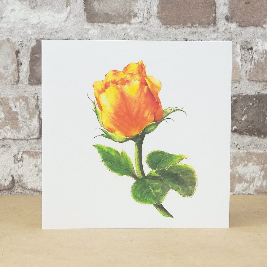 Blank Card Apricot Rose Eco Friendly