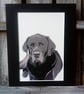 Printed Pet Illustrations - Image 6