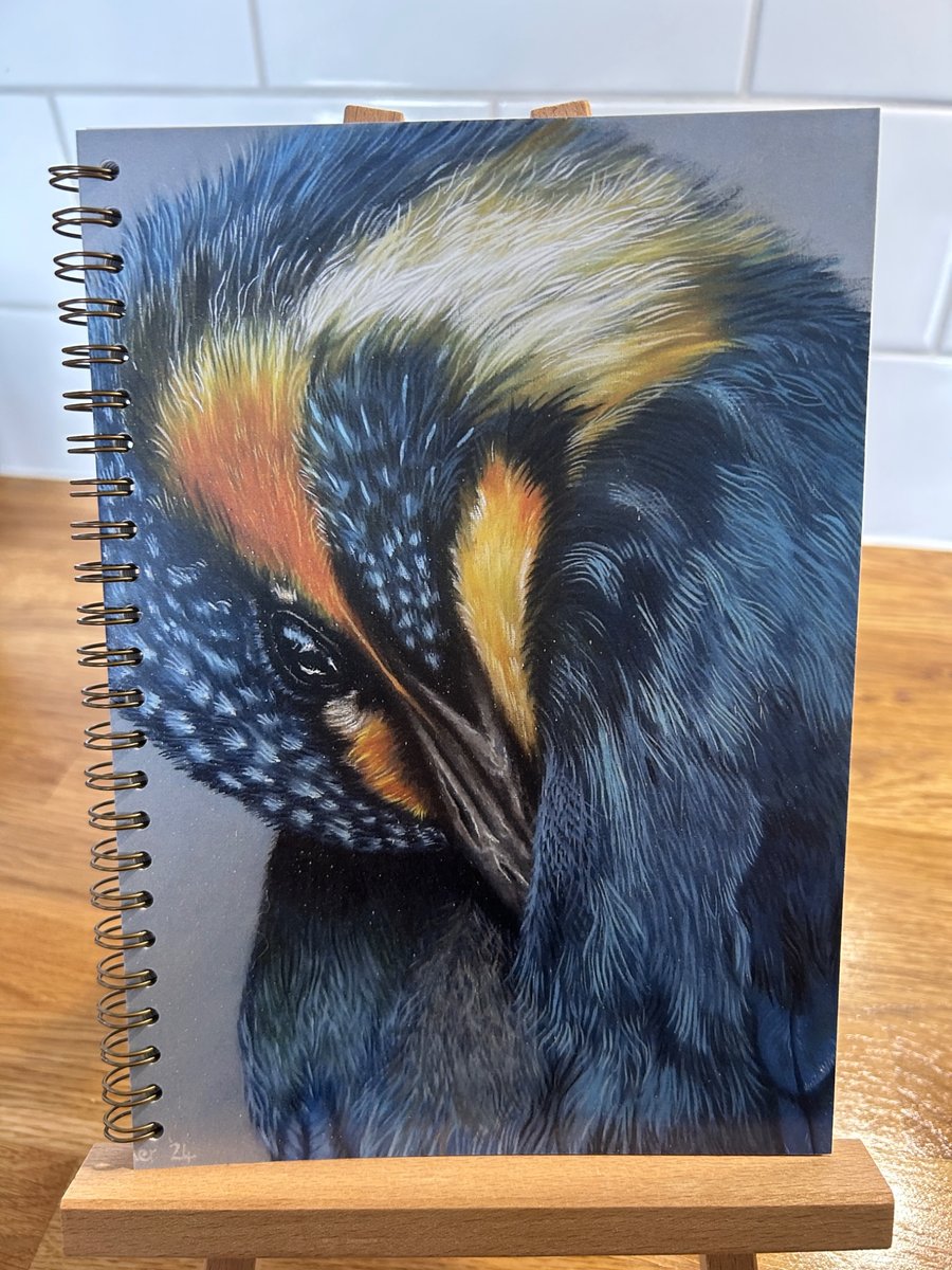 A5 Kingfisher Grooming Notebook