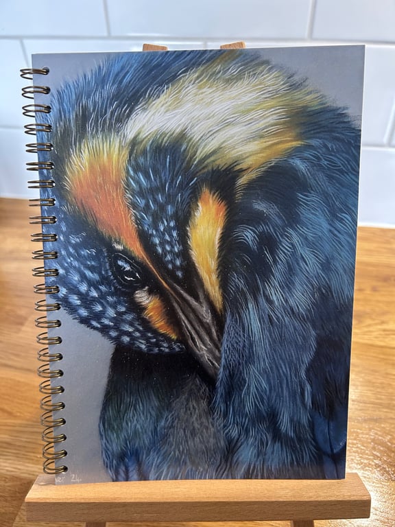 A5 Kingfisher Preening Notebook or Sketchbook 