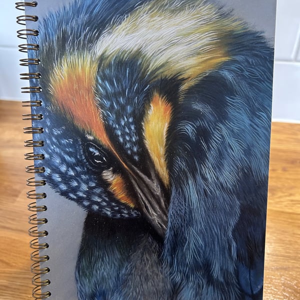 A5 Kingfisher Grooming Notebook
