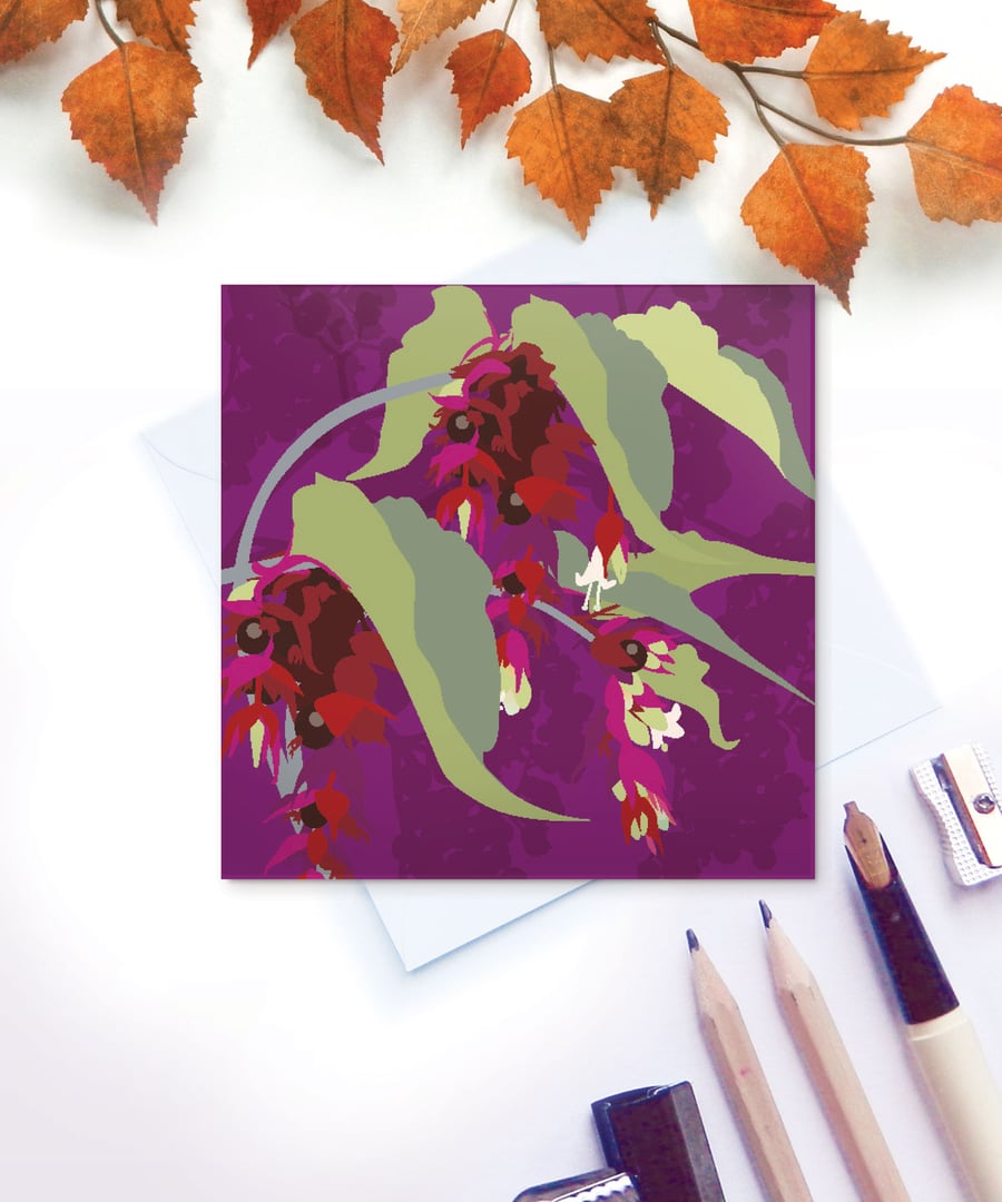 Pheasant Berry Card - Autumn Berries, for gardeners