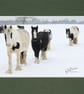 CJ119 - Ponies in the snow - Image 4