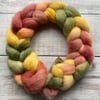 Falkland Spinning fibre 100g Spindrift