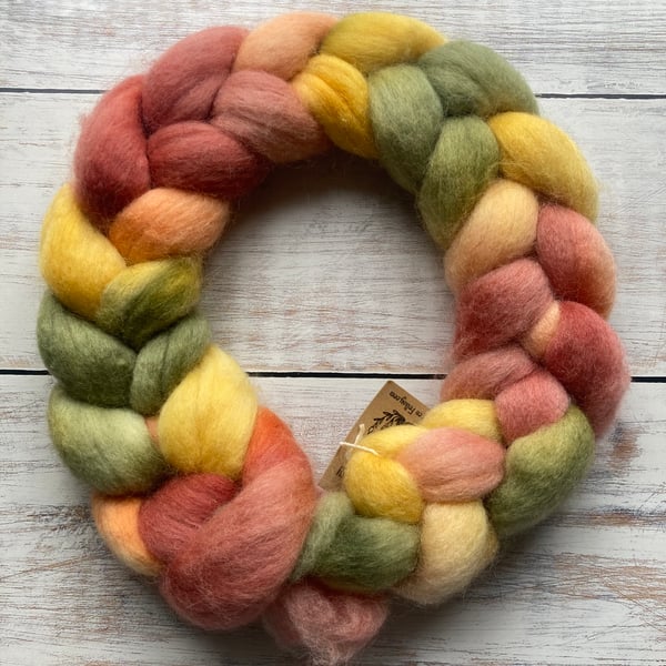 Falkland Spinning fibre 100g Pomegranate 