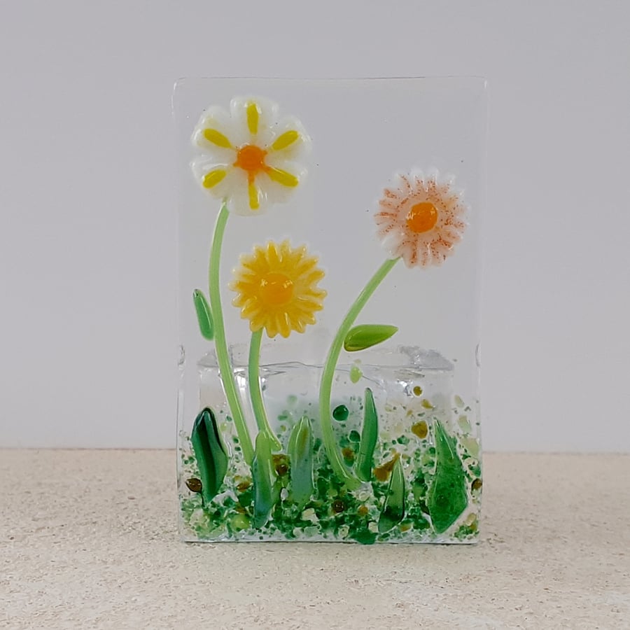 Fused glass tealight candle holder panel, daisies