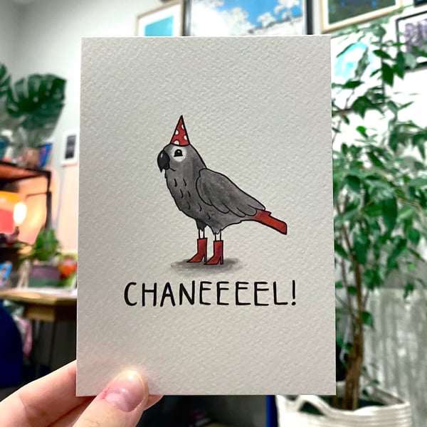 Chanel - African Grey Parrot - Queen of the Canal - Postcard - A6 Print
