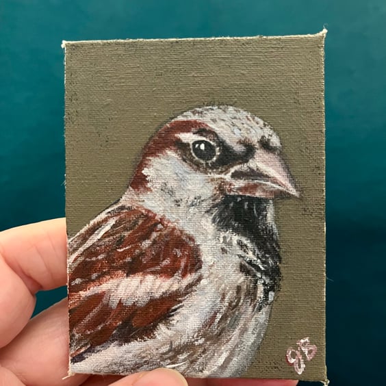 house sparrow bird portrait 2 original painting 