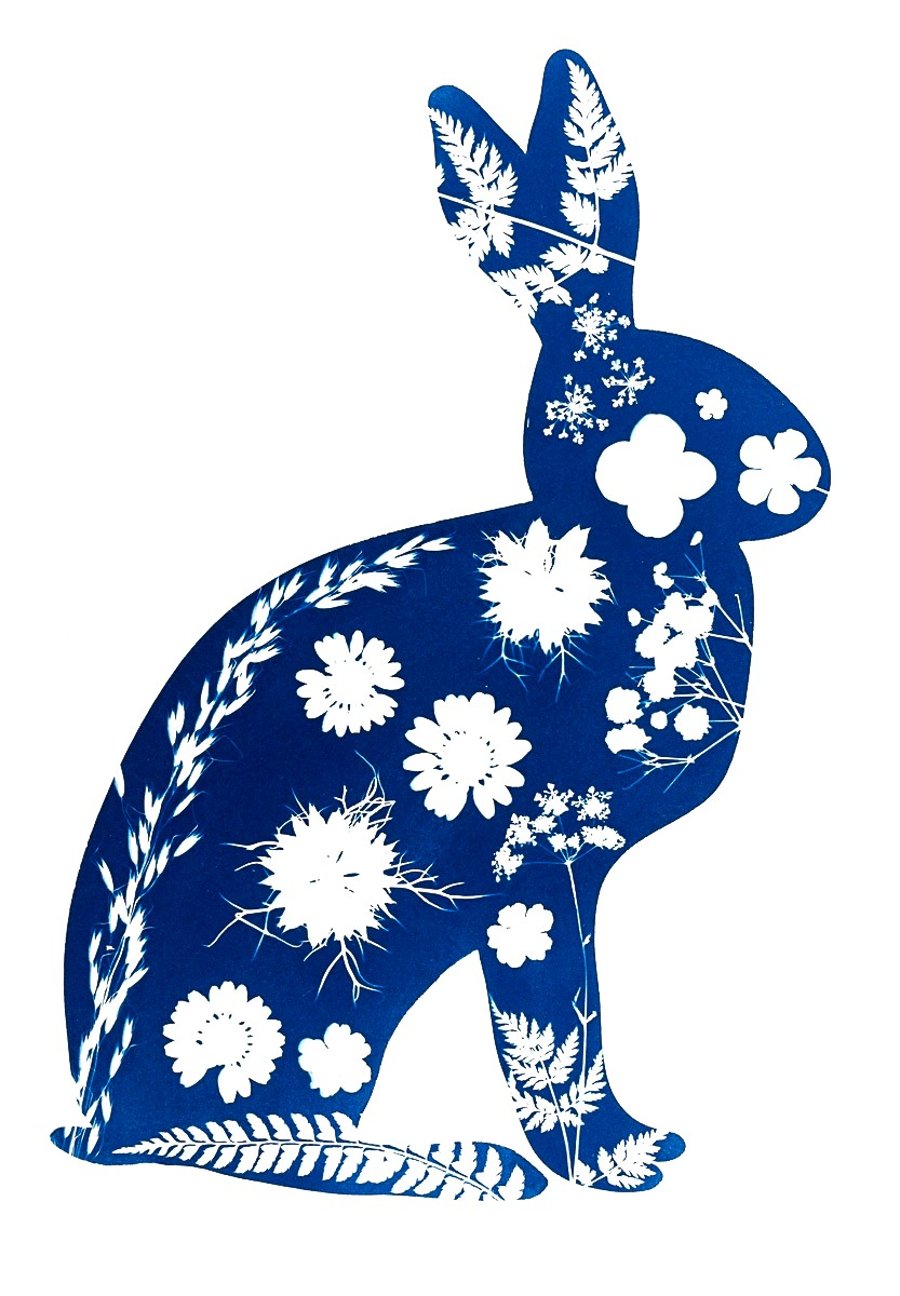 Hare Cyanotype Card