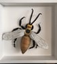 Ceramic Porcelain Bug Wasp- Jordan - Image 3
