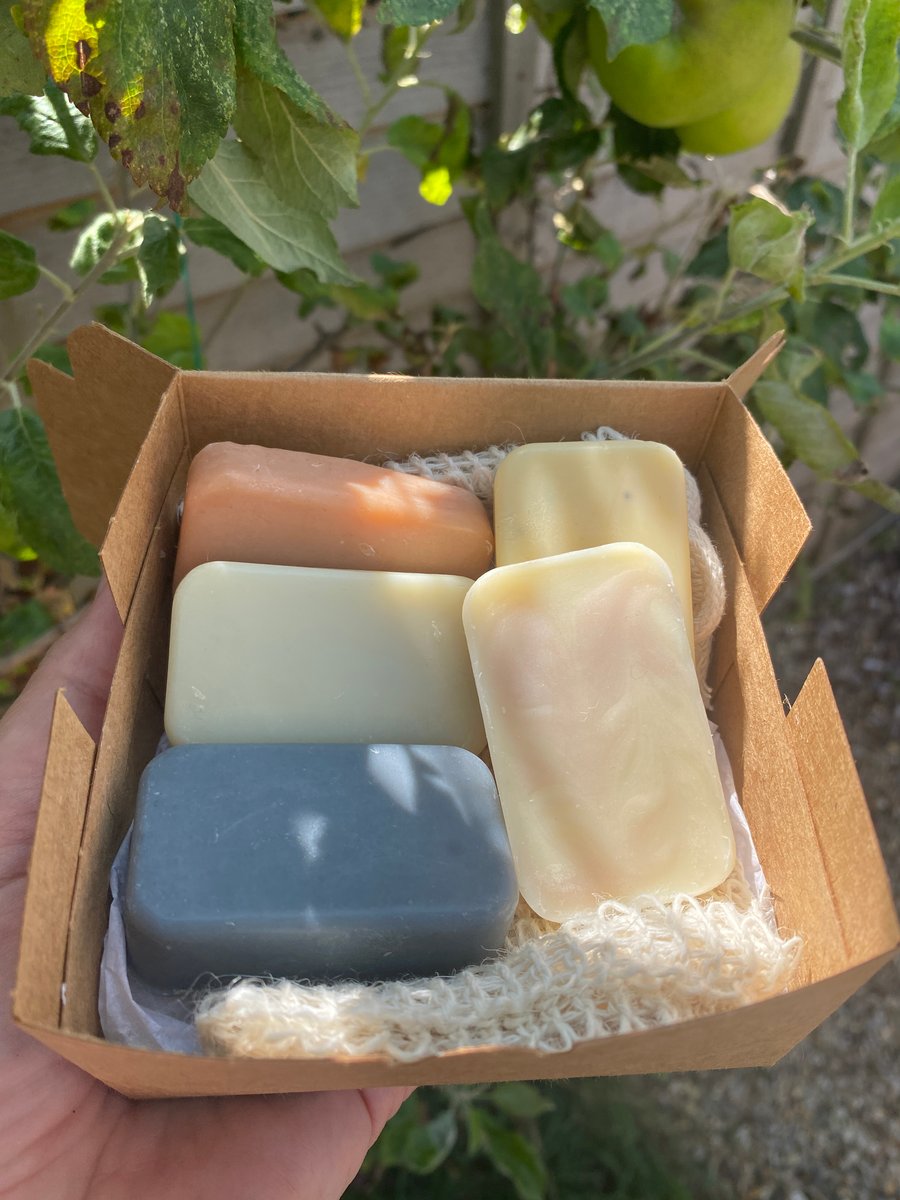 Vegan mini soaps gift box with soap saver