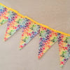 Rainbow bunting