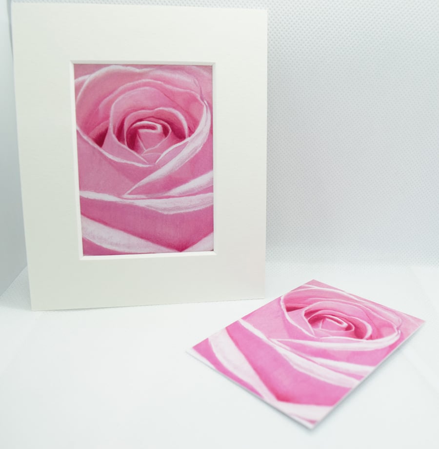 Pink Rose ACEO Giclee Art Print Floral ACEO Art Card Artist Trading Card 