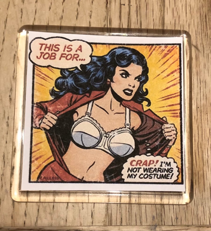 Wonder Woman Superhero Mucks Up Decorative Funny Magnet