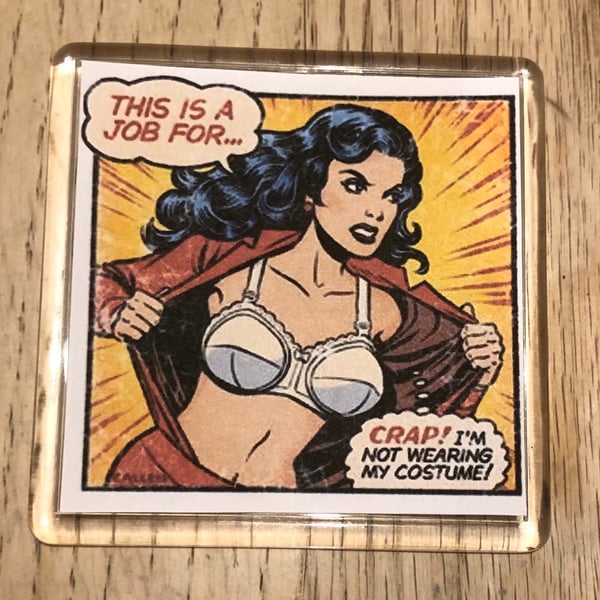 Wonder Woman Superhero Mucks Up Decorative Funny Magnet