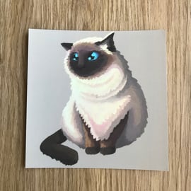 Himalayan Cat Square Post Card Print