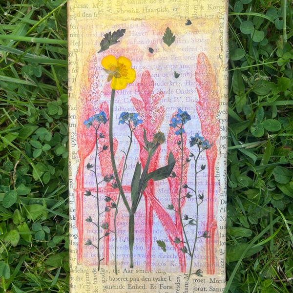 Forget Me Not