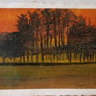May Hill Gloucestershire. Limited Edition A4 Print