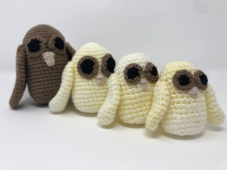 Owl babies 