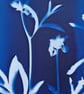 Cyanotype Botanical Print No.2 - Image 5