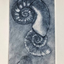 Three ammonite fossils original indigo drypoint print printmaking etching no.3