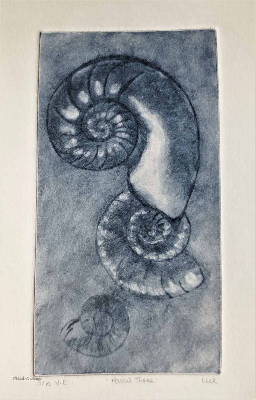 Three ammonite fossils original indigo drypoint print printmaking etching no.3