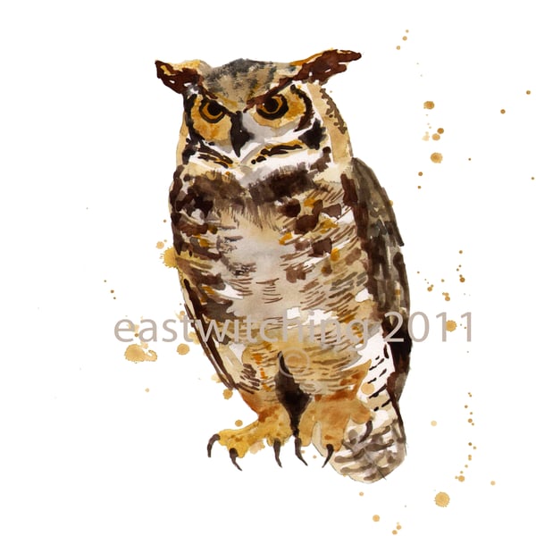 Cute OWL Art Print