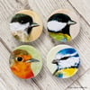 British Garden Birds 38mm Badge Pack - 4 Designs