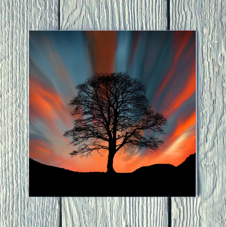 Sunset at Sycamore Gap, Greetings Card