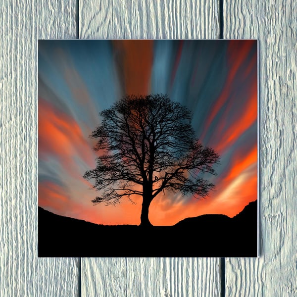 Sunset at Sycamore Gap, Greetings Card