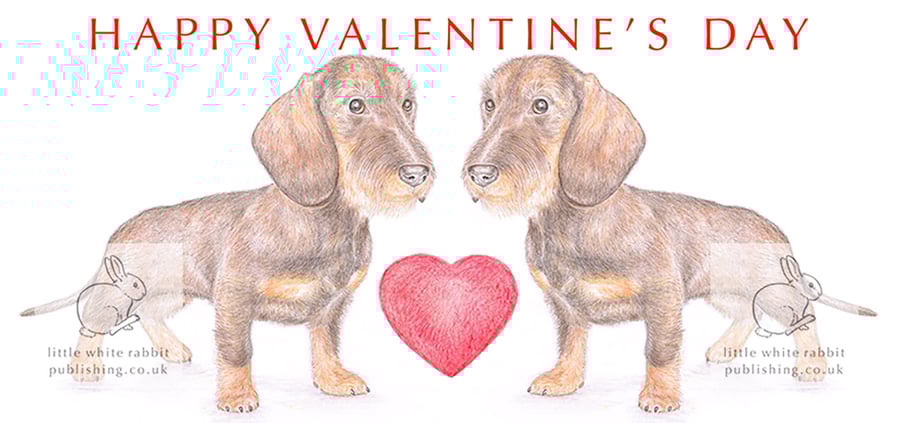 Wire-haired Dachshunds -  Valentine Card
