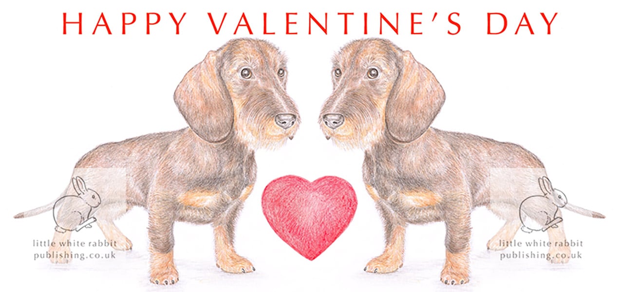 Wire-haired Dachshunds -  Valentine Card
