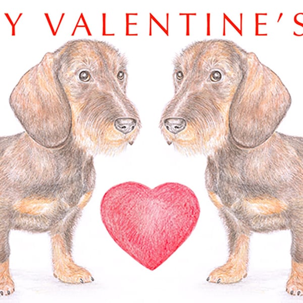 Wire-haired Dachshunds -  Valentine Card