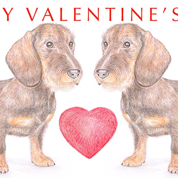 Wire-haired Dachshunds -  Valentine Card