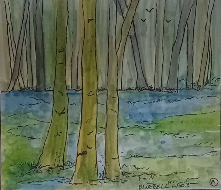 , BLUEBELL WOODLAND, Original watercolour and fine liner painting 