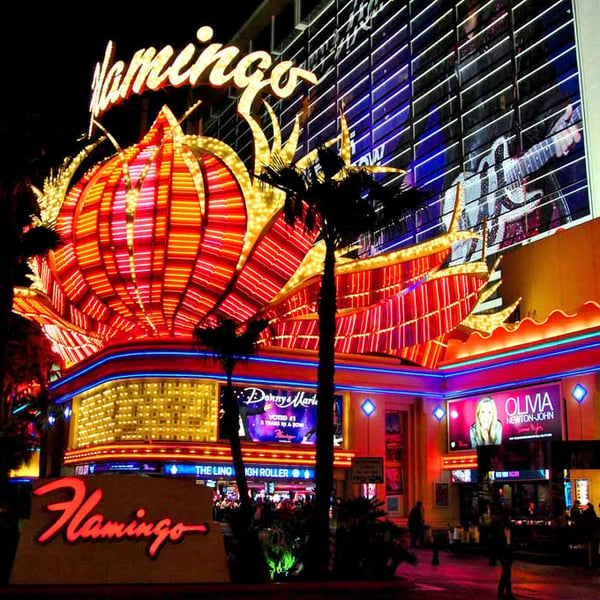 Flamingo Las Vegas Hotel Neon Lights America Photograph Print