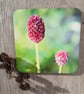 Perfectly Imperfect- Coaster set - 2 mdf coasters -  Allium floral print. - Image 2