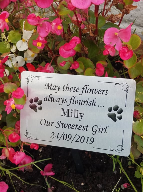 Pet Remembrance Plaque Pet Memorial Plaque Pet Memorial Garden Plaque Pet Grave 