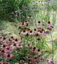 Flower Border Photo Greetings Card - Image 5