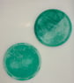 Eco resin circular coaster
