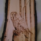 Owl in the woods