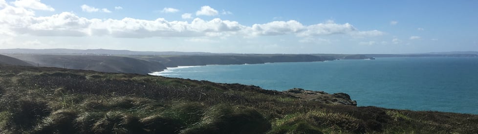 Silver Dog Jewellery